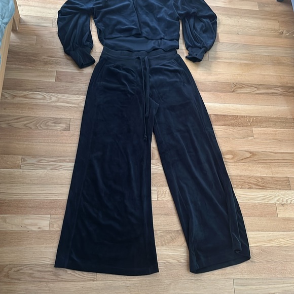 Anthro velour wide legged pants - Picture 5 of 6